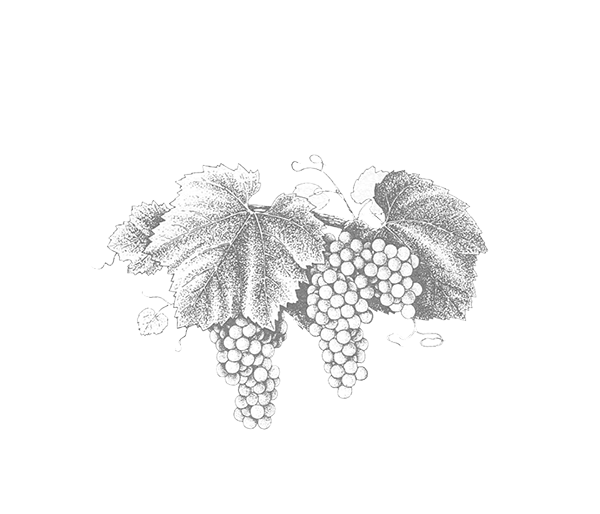Grgich Hills Estate